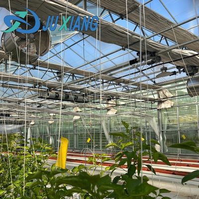 Serra commerciale accessibile per ortaggi o fiori campioni US 20/mq