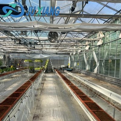 Corretto Cornice di vetro per giardino intelligente Agricoltura Serra Vendita 100.000kg Peso lordo