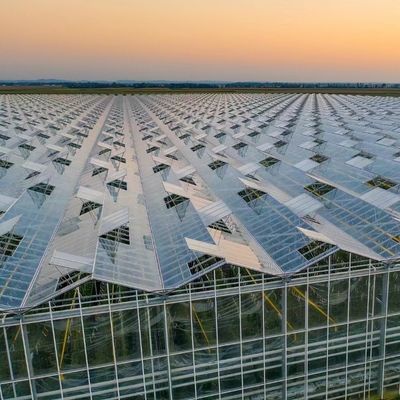 Corretto Cornice di vetro per giardino intelligente Agricoltura Serra Vendita 100.000kg Peso lordo
