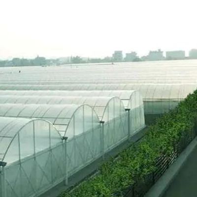 Serra idroponica a doppio arco a peperoncino e fiori con forma di tetto multi-spano