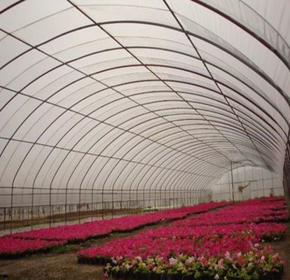 Serra idroponica a doppio arco a peperoncino e fiori con forma di tetto multi-spano