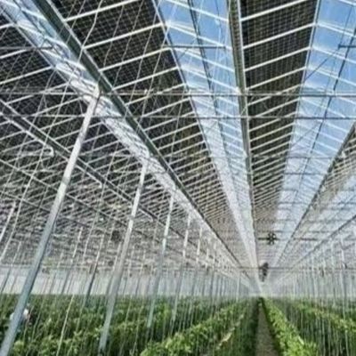 US Hot DIP Acciaio Galvanizzato Multi Span Vetro Serra 50.00cm * 60.00cm * 80.00cm