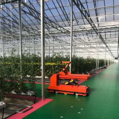 Serra di vetro multi-spano di Venlo con costi di spedizione e tempi di consegna stimati