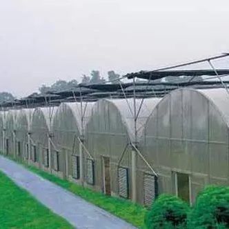 2000.000kg di pacchetto Peso lordo Sistema idroponico a panella singola per serre a doppio arco