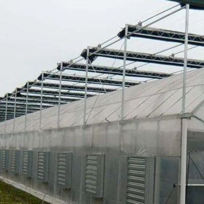 2000.000kg di pacchetto Peso lordo Sistema idroponico a panella singola per serre a doppio arco