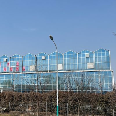JX-A0018 Serra di vetro per la coltivazione di pomodori 30 giorni Rimborso Rimborsi durevoli Facile