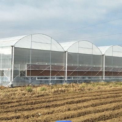 Sistema idroponico a pellicola di riscaldamento temporanea per la coltivazione di ortaggi e fiori in serra