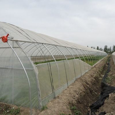 Sistema idroponico a pellicola di riscaldamento temporanea per la coltivazione di ortaggi e fiori in serra