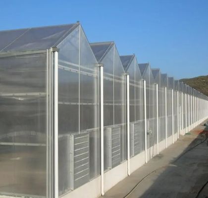 Serra a pellicola a doppio arco per la coltivazione di cetrioli