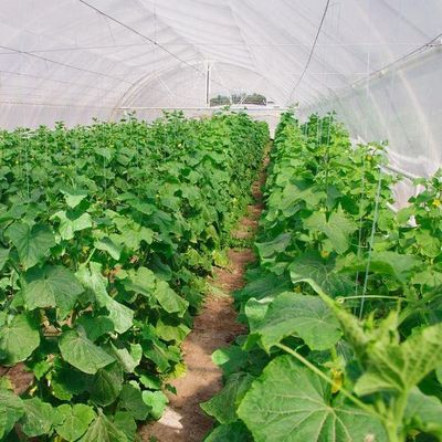 Sistema idroponico anti gocciolante adatti all'inverno di pollame e bestiame