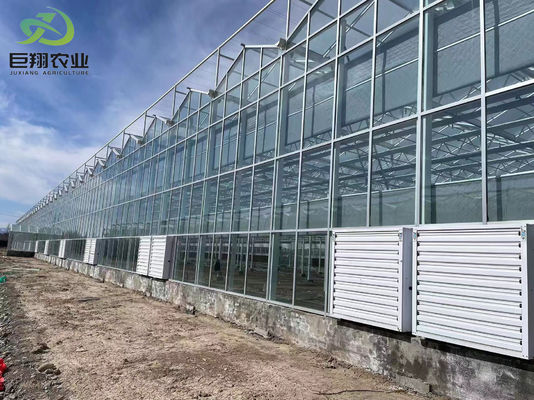 Instalazione di piantagione a temperatura controllata da Juxiang e soluzione di piantagione conveniente