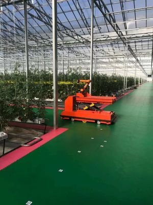 Instalazione di piantagione a temperatura controllata da Juxiang e soluzione di piantagione conveniente