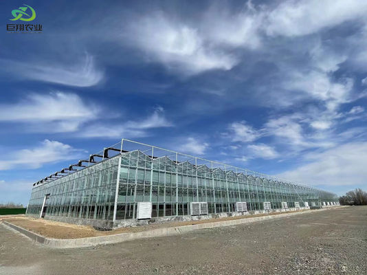Instalazione di piantagione a temperatura controllata da Juxiang e soluzione di piantagione conveniente