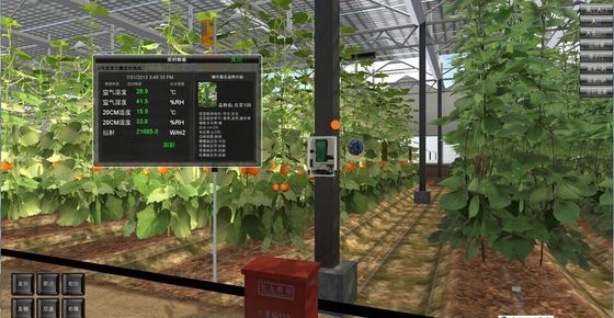 Instalazione di piantagione a temperatura controllata da Juxiang e soluzione di piantagione conveniente