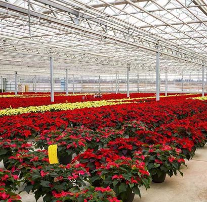 Metodo di coltivazione idroponica PC foglio di giardino fiore luce solare serra per il Canada Area