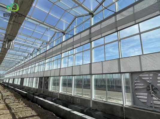 Dimensioni personalizzabili e Juxiang prime s Struttura anti goccia di nebbia per le piantine Perfetto