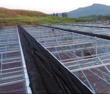 Sistema di prevenzione della nebbia di ritorno di 30 giorni per la produzione di fiori in serra a tetto ad arco