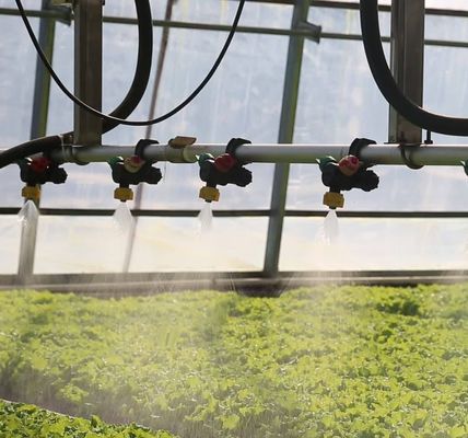 Sistema di prevenzione della nebbia di ritorno di 30 giorni per la produzione di fiori in serra a tetto ad arco