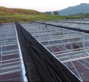 Serra di controllo dell'umidità stromale idroponica con tetto ad arco e design multi-span