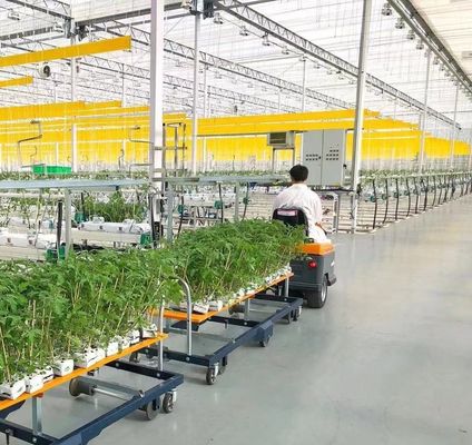 Serra a doppio strato Juxiang a pellicola singola o a più strisce per la produzione di fiori