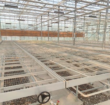 Serra a doppio strato Juxiang a pellicola singola o a più strisce per la produzione di fiori