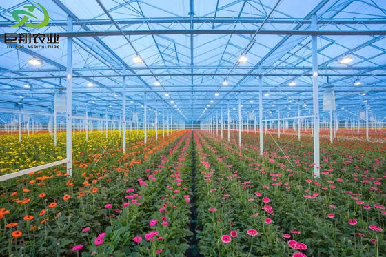 Serra per ombreggiatura esterna per il controllo dell'umidità nella produzione commerciale di serre