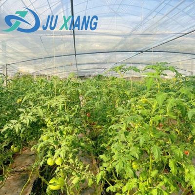 Serra a doppio strato Juxiang a pellicola singola o a più strisce per la produzione di fiori