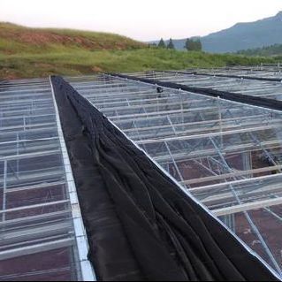 Serra idroponica a doppio arco per fiori e pomodori