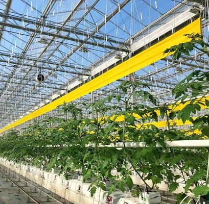 Serra idroponica a doppio arco per fiori e pomodori