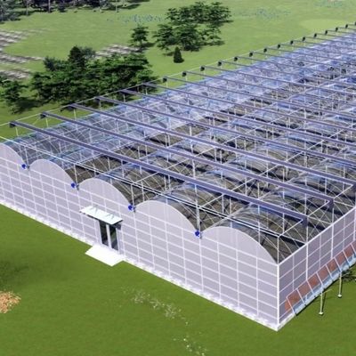Struttura in acciaio Serra per la produzione di pepe con metodo di coltivazione idroponica