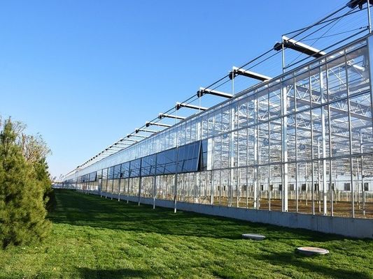 Juxiang prime s Ambiente controllato Sistema serra nei materiali da costruzione