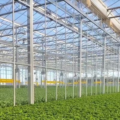 JX-H0068 Serra a tecnologia antidrippo per la personalizzazione di fiori e pomodori offerta