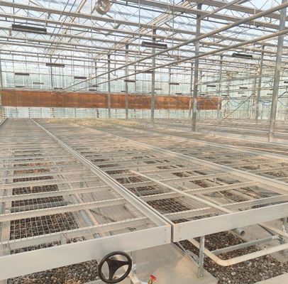- Fatto serra idroponica con tecnologia anti-gocciolato pieno pagamento coltivazione di verdure