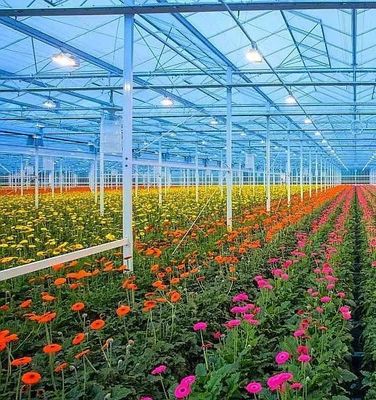 Struttura a doppio arco - serra idroponica realizzata per le esigenze di produzione agricole miste
