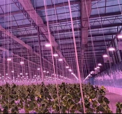 Struttura a doppio arco - serra idroponica realizzata per le esigenze di produzione agricole miste