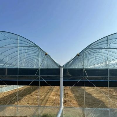 Struttura a doppio arco - serra idroponica realizzata per le esigenze di produzione agricole miste