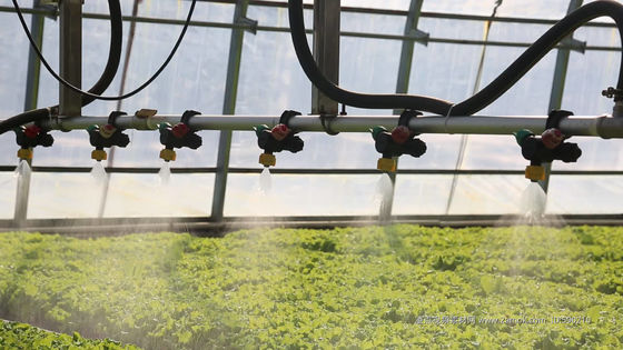 Stati Uniti/Canada Struttura in acciaio Vegetali piantare serra ad arco singolo per la coltivazione idroponica