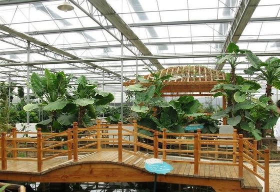 Il pacchetto di impianti di coltivazione a controllo dell'umidità di Juxiang Peso lordo 2000.000kg Soluzione