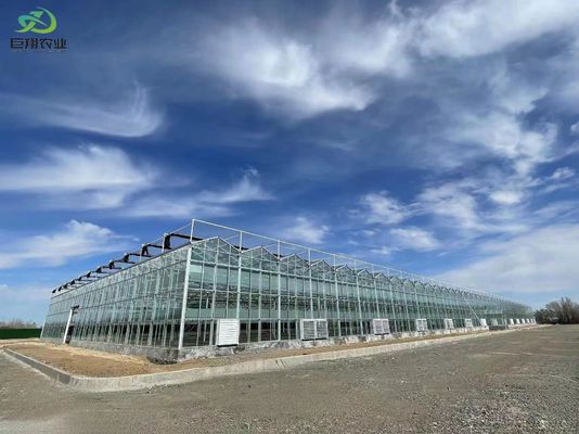 Foglie verdi ortaggi film PC foglio agricolo serre multi-span per la coltivazione idroponica