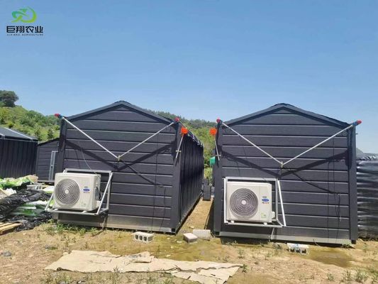 Foglie verdi ortaggi film PC foglio agricolo serre multi-span per la coltivazione idroponica