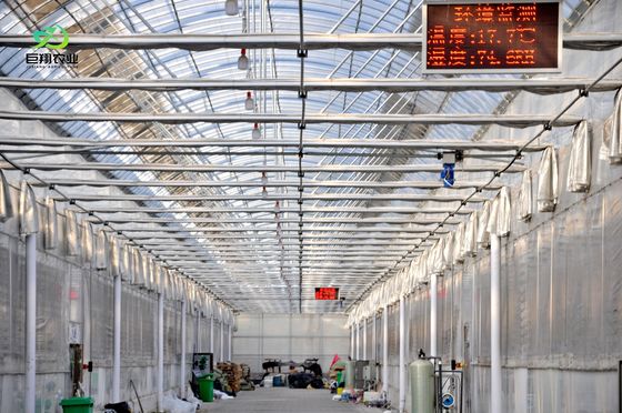 Struttura di coltivazione a doppio strato illuminata per piantine idroponiche in multi-span