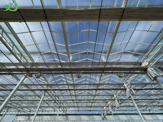 Struttura di coltivazione a doppio strato illuminata per piantine idroponiche in multi-span