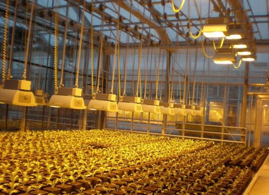Ritorno di 30 giorni Casa di coltivazione illuminata per piantine Metodo di coltivazione illuminato