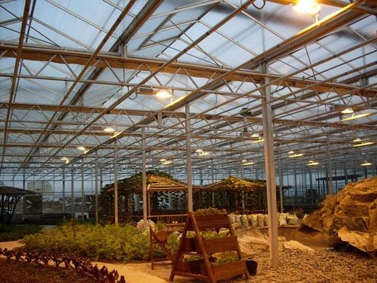 Sistema di coltivazione di pomodori cetrioli lattuga Peso lordo 2000.000kg Richiesta personalizzazione