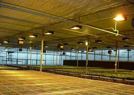 Sistema di coltivazione di pomodori cetrioli lattuga Peso lordo 2000.000kg Richiesta personalizzazione