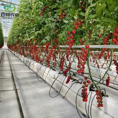 Spessore della pellicola personalizzato Pellicola di plastica usata agricola Hidroponica Serre