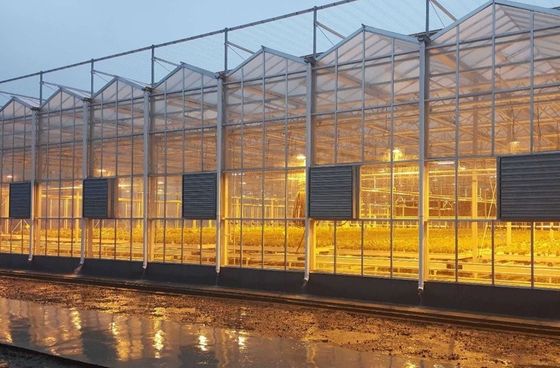Domanda personalizzata Juxiang Pomodoro Cetriolo Lattuga Struttura Illuminazione serra