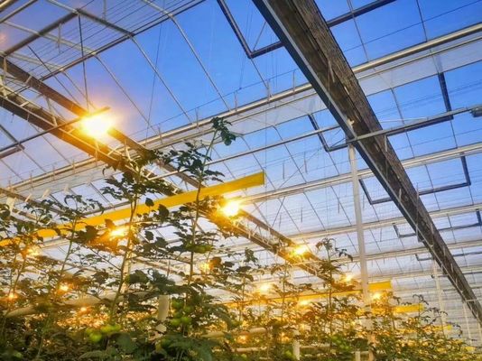 Domanda personalizzata Juxiang Pomodoro Cetriolo Lattuga Struttura Illuminazione serra