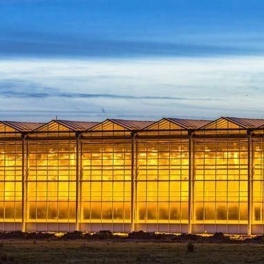 Restituzioni di restituzione Serra multi-span garantita per la coltivazione di pomodori cetrioli lattuga
