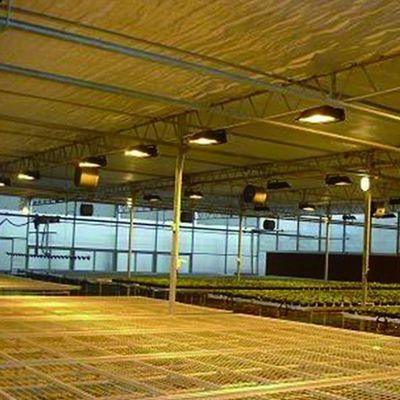 Restituzioni di restituzione Serra multi-span garantita per la coltivazione di pomodori cetrioli lattuga